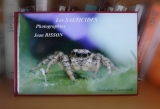 Livre Photo sur les Salticides - Salticides