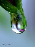 Goutte d'eau - Miroir d'eau