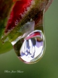 Goutte d'eau - Miroir d'eau
