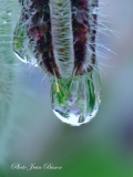 Goutte d'eau - Miroir d'eau