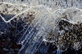 jbisson-photo-peinture - Magie de la glace !