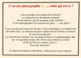 jbisson-photo-peinture - Magie de la glace !