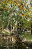 Images de Solognes en automne - L' automne en Sologne