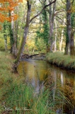 Images de Solognes en automne - L' automne en Sologne