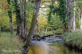 Images de Solognes en automne - L' automne en Sologne