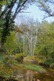 Images de Solognes en automne - L' automne en Sologne