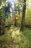 Images de Solognes en automne - L' automne en Sologne