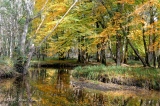 Images de Solognes en automne - L' automne en Sologne