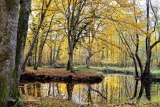 Images de Solognes en automne - L' automne en Sologne