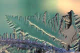 DSC_5760_DxO - Quand la glace me parle .....!