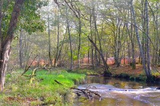 La rivière 